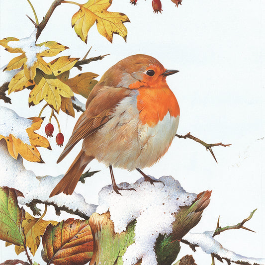 Festive Robins Quad Pack