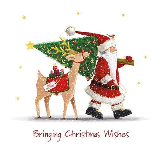 Bringing Christmas Wishes Twin Pack