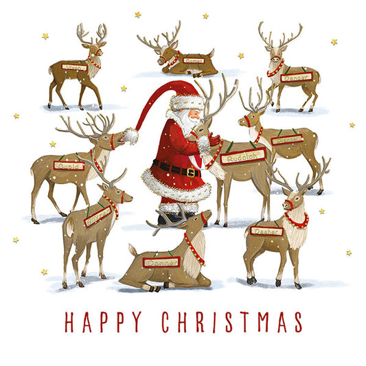 Bringing Christmas Wishes Twin Pack