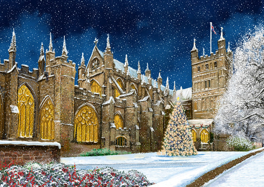 Exeter Cathedral By Night Single Pack