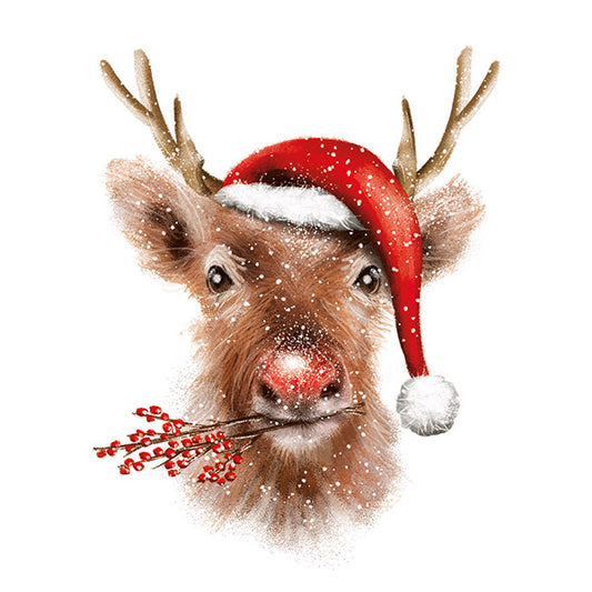 Festive Friends Twin Pack