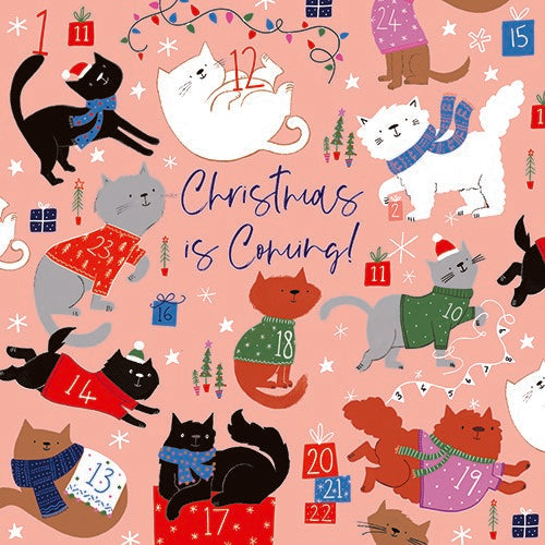 Christmas Is Coming