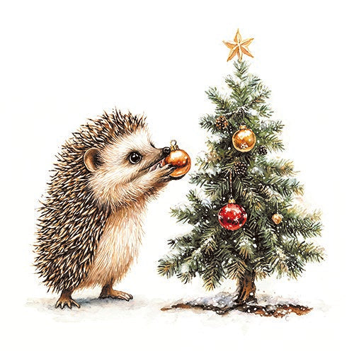 Little Spike